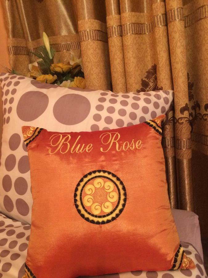Blue Rose Apartman Karlovy Vary Exterior photo